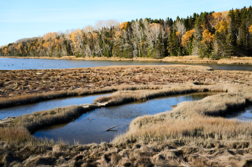 Eau,Plage,Plage de Penouille,Milieu naturel,Forêt,Parc Forillon,Saison,Automne,MRC Côte-de-Gaspé,Région,Parc provincial,Jour,Temps